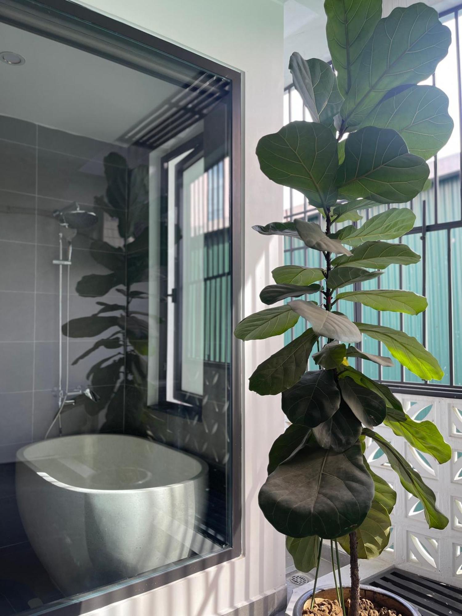 Alala Homestay- Tuyen Quang City Center- Trung Tam Thanh Pho 뚜옌꽝 외부 사진